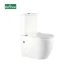 ZBQ-LDFT-100-1