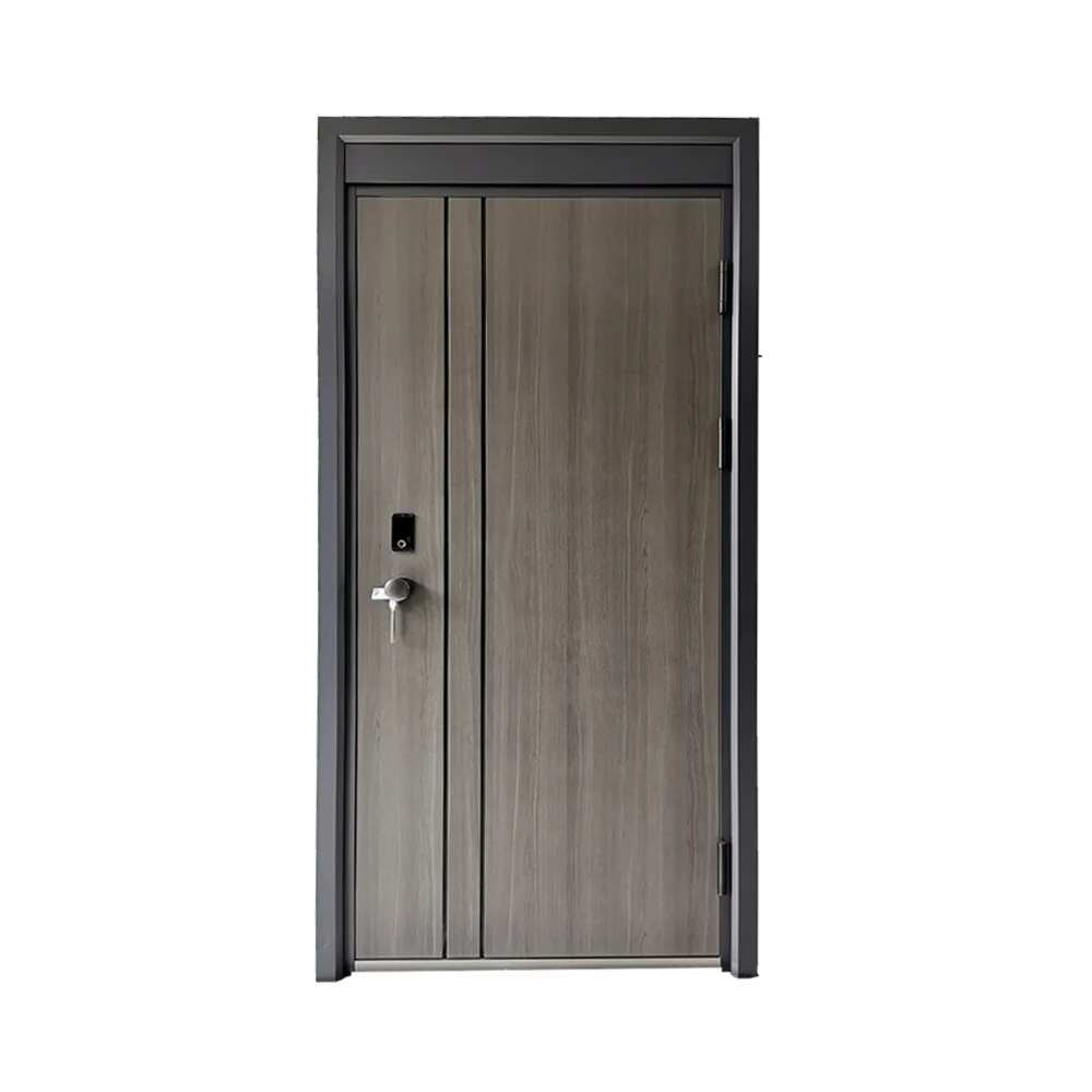 Modern Exterior Main Gate Door Designs Front Iron Entry Doors Entrance