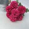 Rose garance