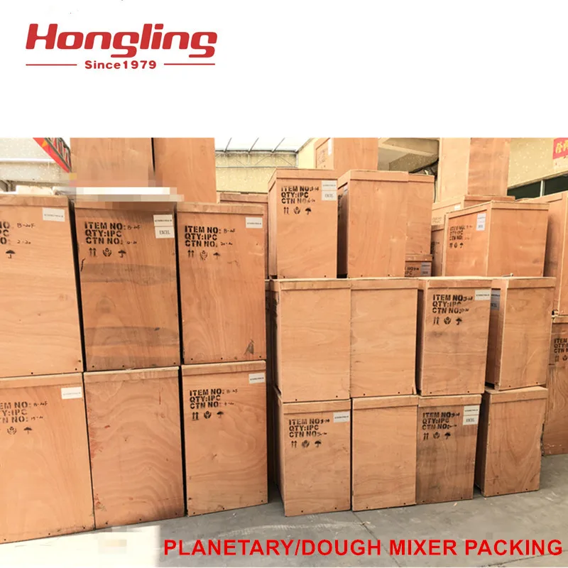 Dm30g 30l Liter Commercial Dough Mixer Bakery Kneading Machine Spiral