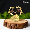 Citrino