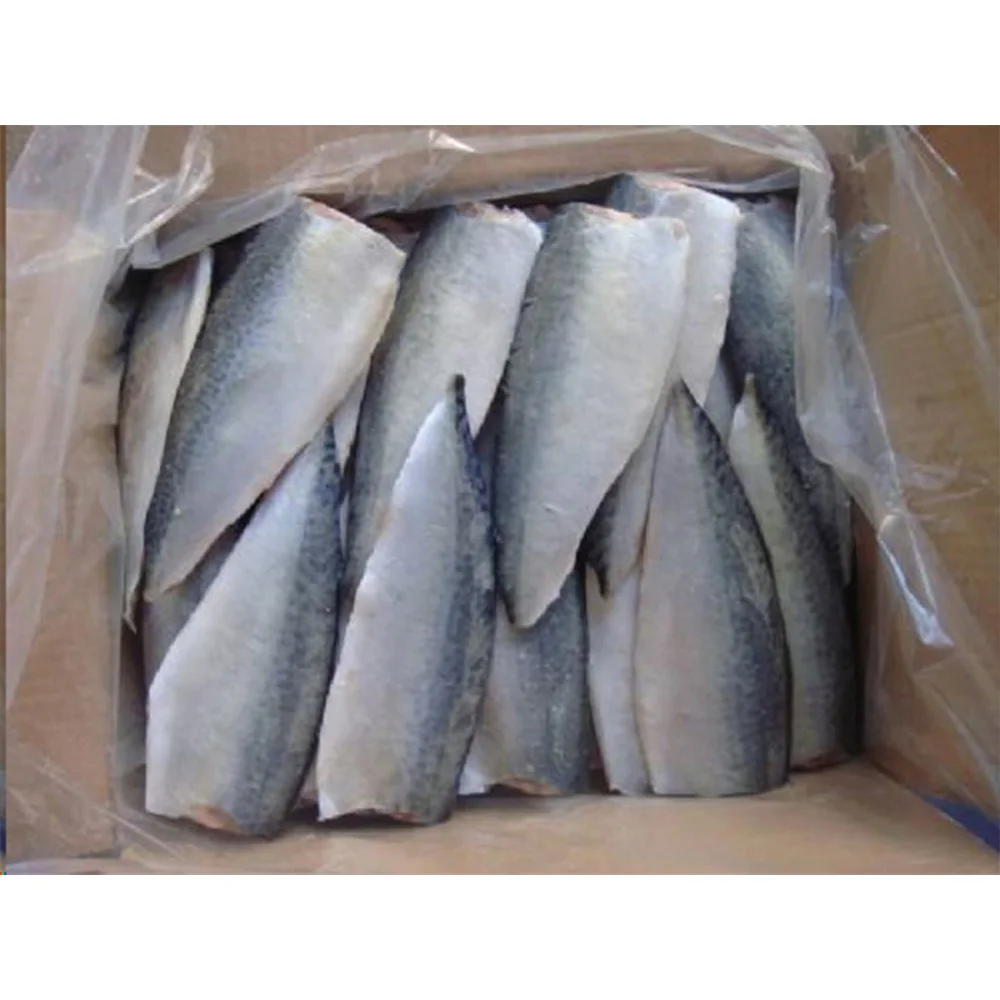 Frozen Fish Mackerel Fillets Pbi Frozen Mackerel Fillet Frozen Pacific Mackerel Fillet