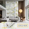 CSTJ010