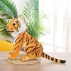 Huang tigre sentado -