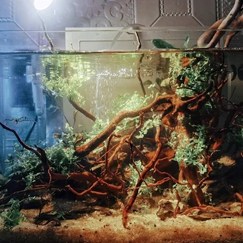 H1c5baccde00a443da1dddf471c80d