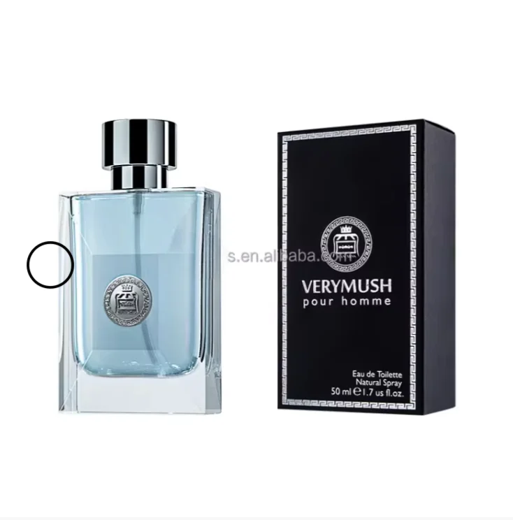 Dylan Blue Perfume 100ml 3.4oz Men Perfume Fragrance Ves Pour Homme Eau De Toilette Man Parfum Natural Spray Long Smell Cologne
