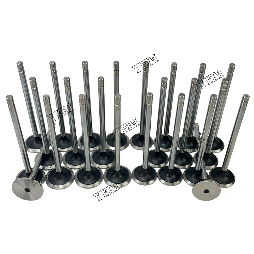 Exhaust Intake Valve Fit for Caterpillar C9 Engine