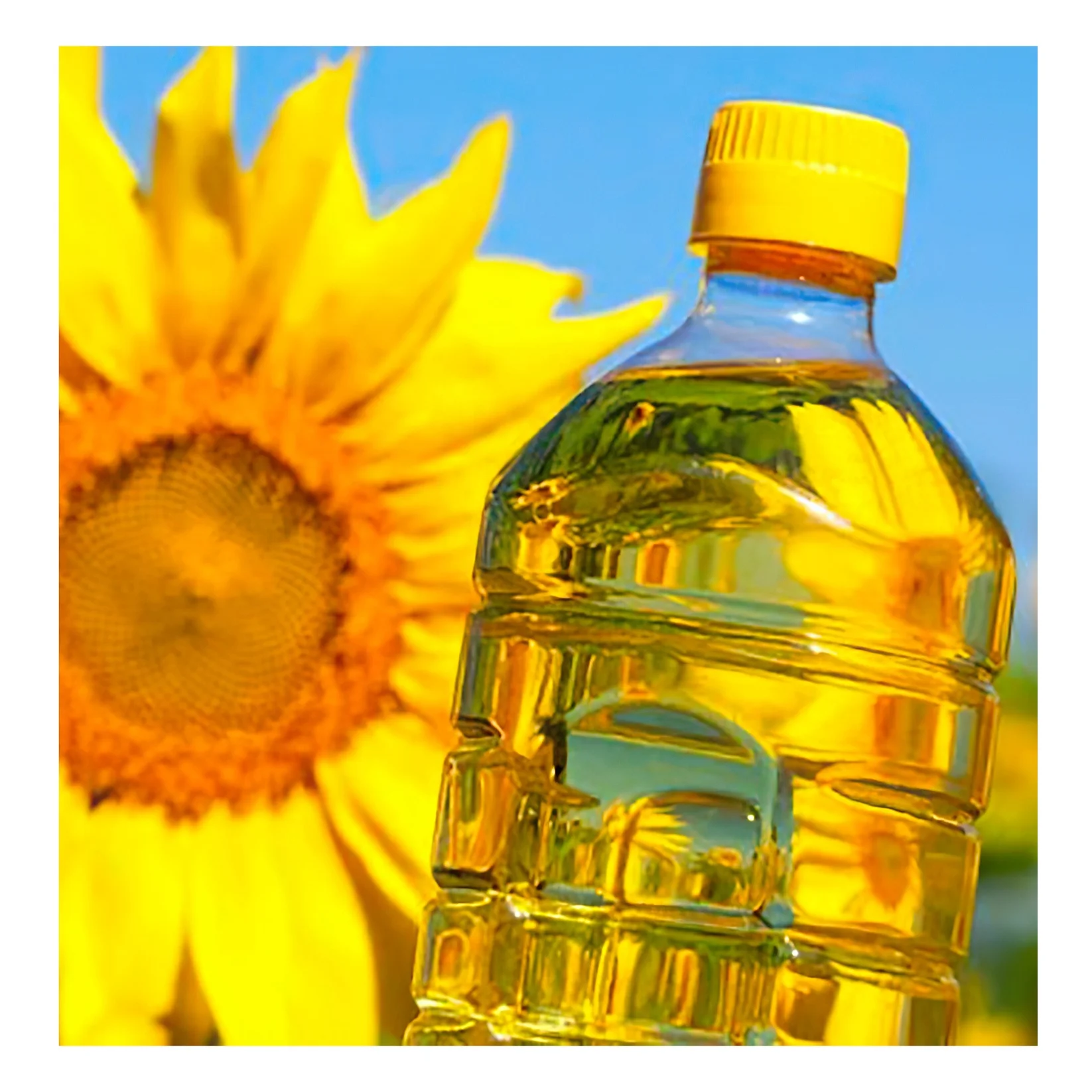 unrefined sunflower oil - buy sunflower oil oil sunflower sun