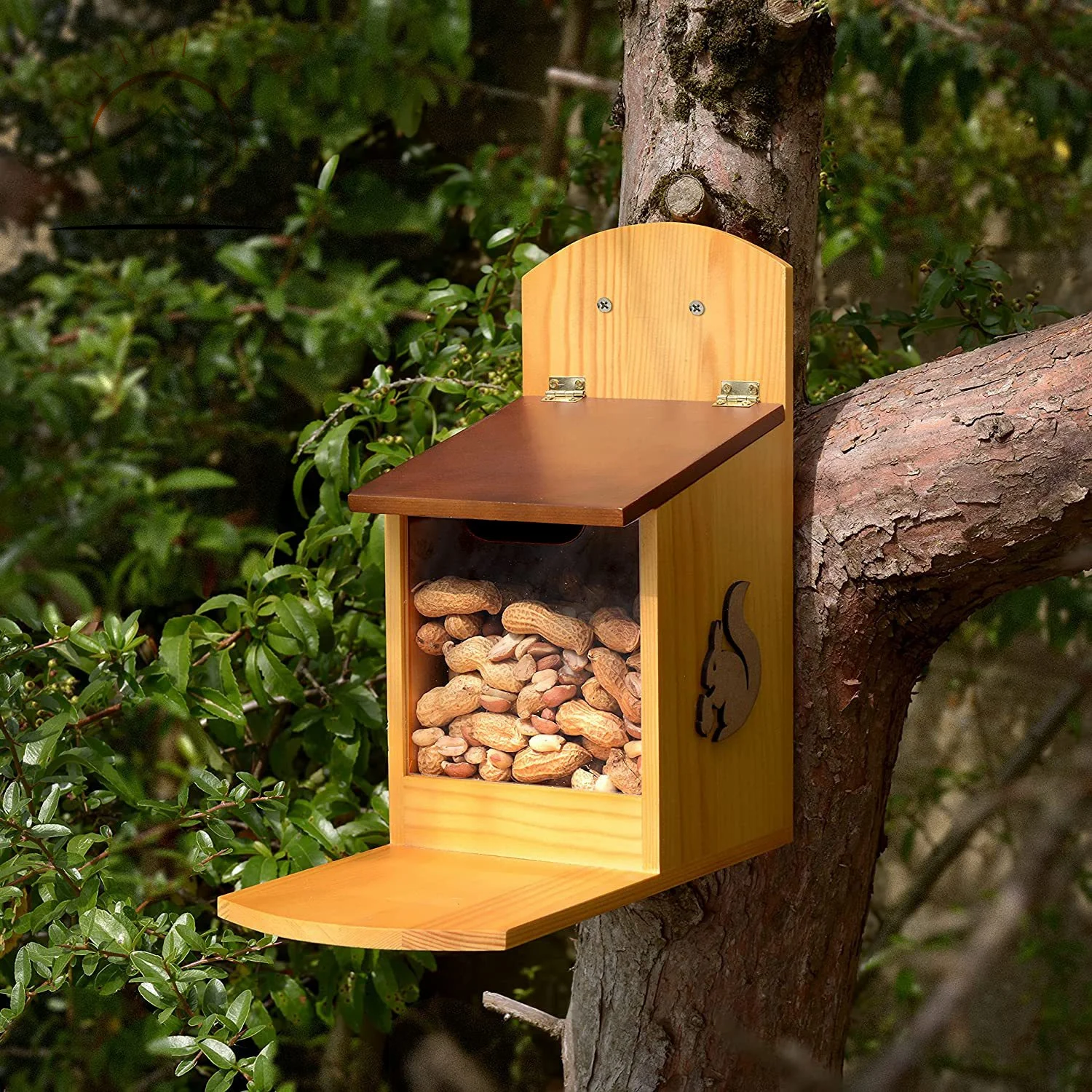 Mangeoire à Écureuils En Bois Transparent - Pour Jardin Extérieur - Nourriture Maïs Arachides