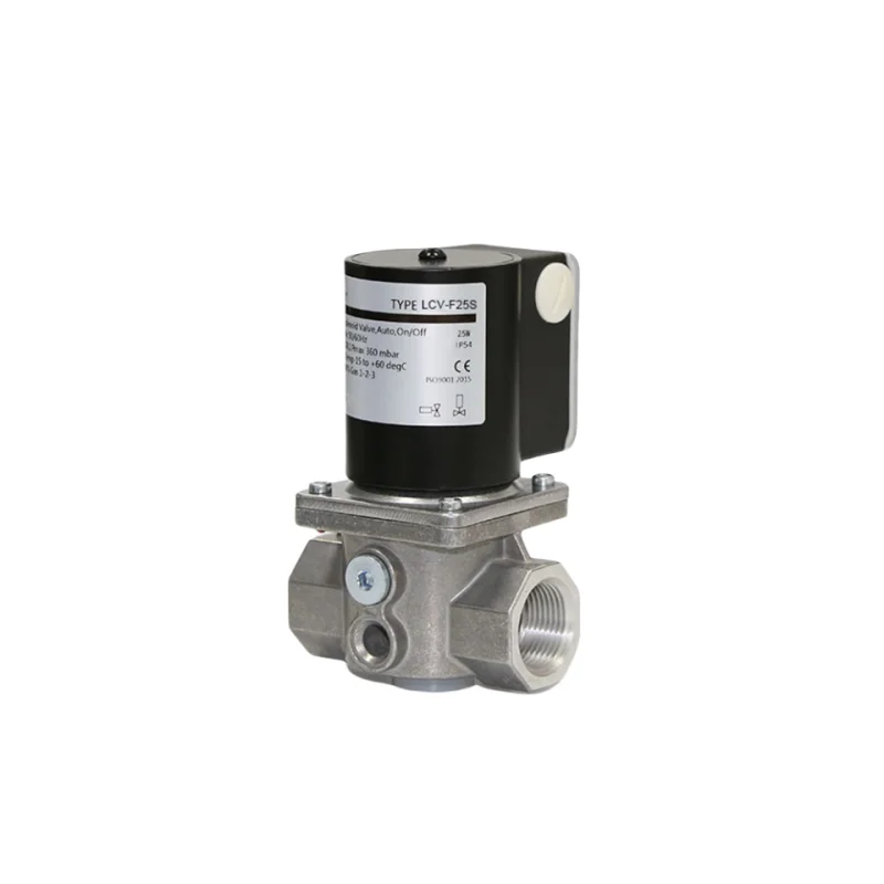 12V 24V 220V Solenoid Valve Threaded Tube Used General Application Shutoff Burning Machine Boiler Burner OEM Customizable Gas