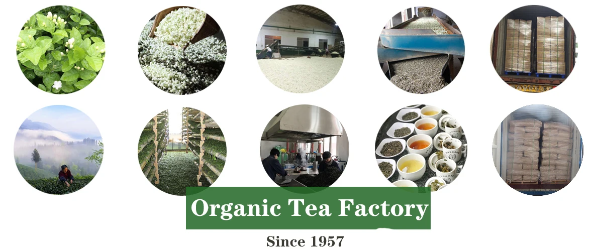 Strawberry Green tea  Loose tea  Packaging customization-
