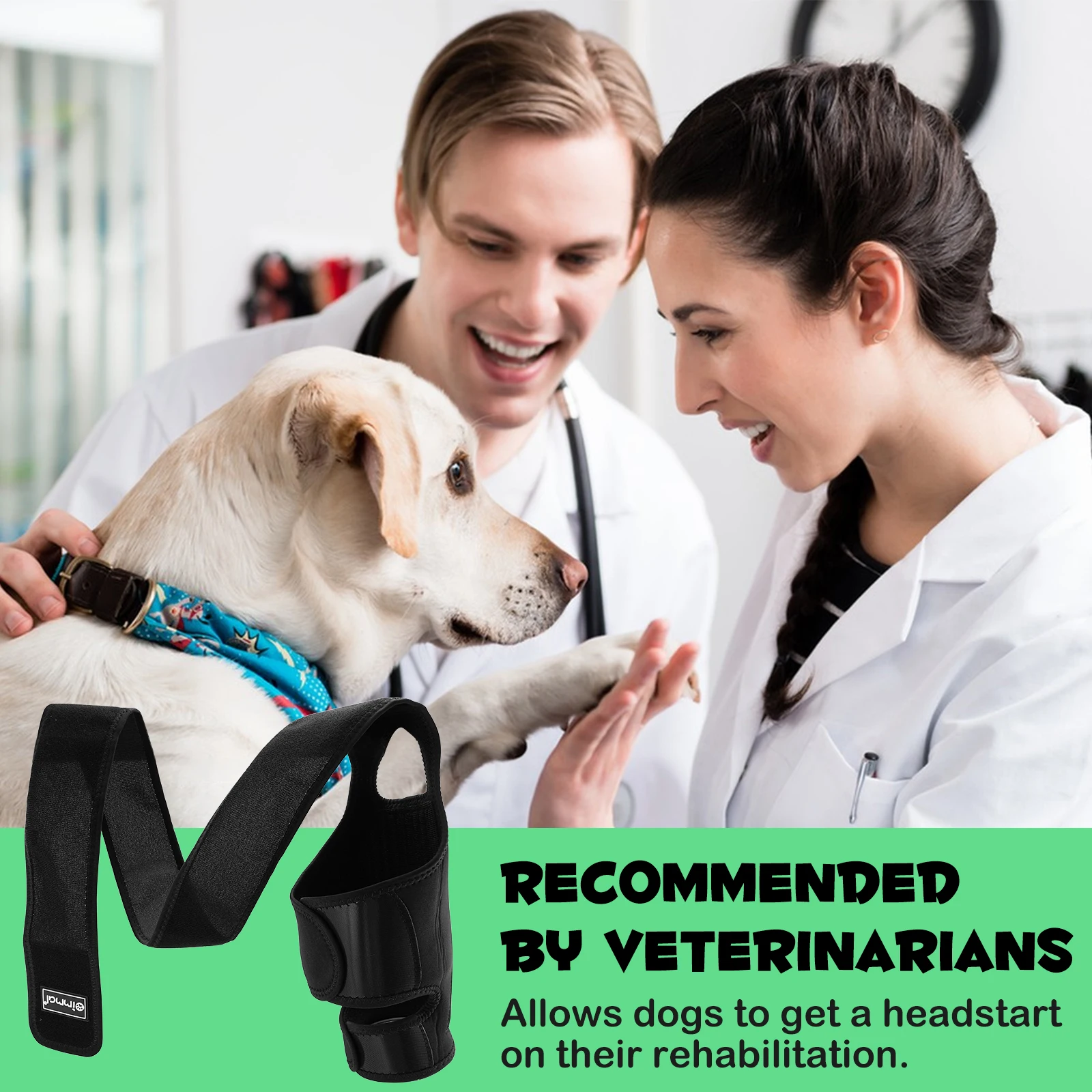 Custom Dog Knee Brace Leg Wounds Care Harness Helps Dogs With Lameness