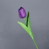 Púrpura