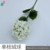 Single pom-pom WY White