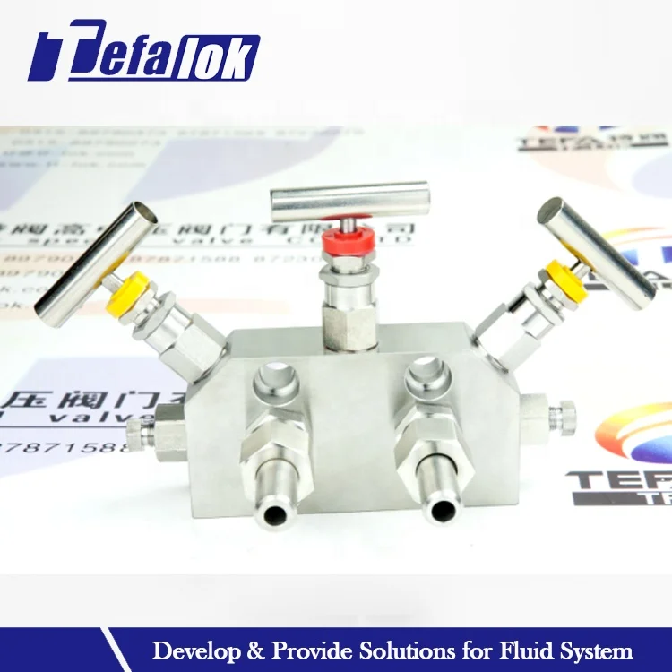 Three Way Manifold Valve Manufacturer Block And Bleed - Buy Manifold ...