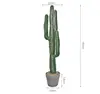 Cactus di velluto rosso C
