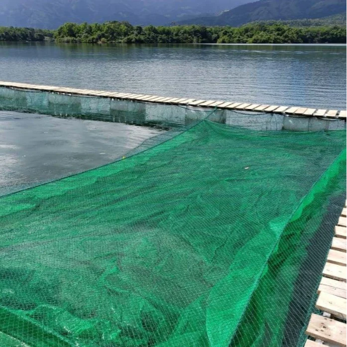aquaculture green breeder fish net BMIROAMDFE Large with Suction Cups Nylon Mesh Fish Fry Hatchery Breeder Isolation Box Separation Net for Plants/Shrimp on Aquarium Tank : Pet Supplies Aquarium Fish Net 2,951 Breeding Fish Cages Royalty-Free