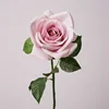 Single stem corolla rose - autumn purple