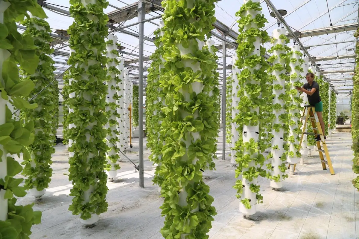 Vertical Farming Aeroponics Vertical Tower Aeroponic Grow System - Buy ...