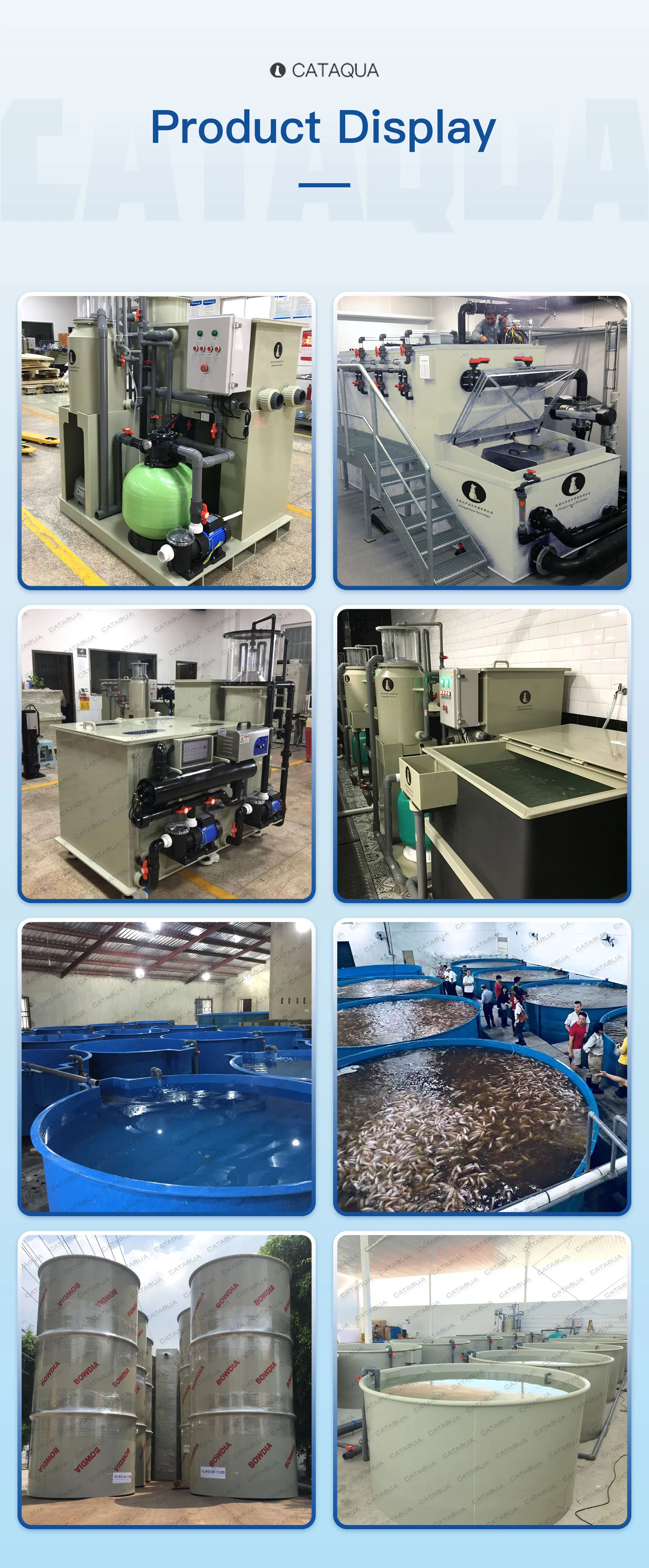 Integrated System Aquaculture Equipment Tilapia RAS Crab Recirculating ...