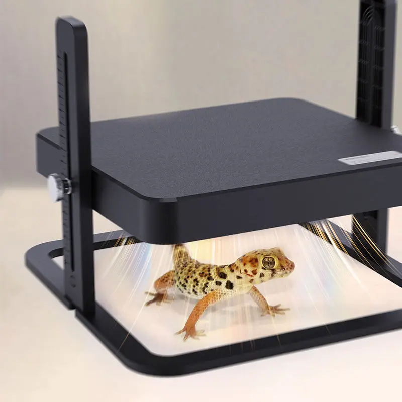 WONEGG 2022 New Arrival Cheap Price Brooder Heat Lamp for Chicks