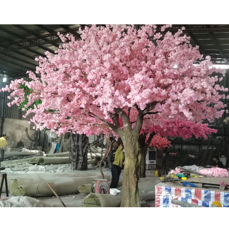 Albero di ciliegio - Frutti Minori - Albero di ciliegio