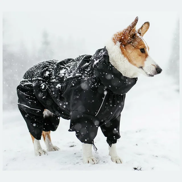 Fishprincess Pet Clothes Wholesale Dog Jackets Winter Pet Clothes Waterproof Sustainable Dog Raincoat