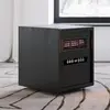 Chêne noir