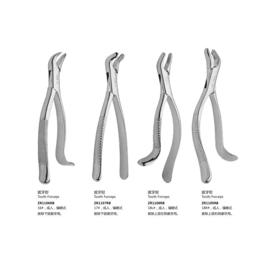 Tooth Forceps with high quality