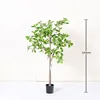Green 120cm