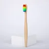 rainbow-with box