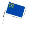 Drapeaux du Nevada