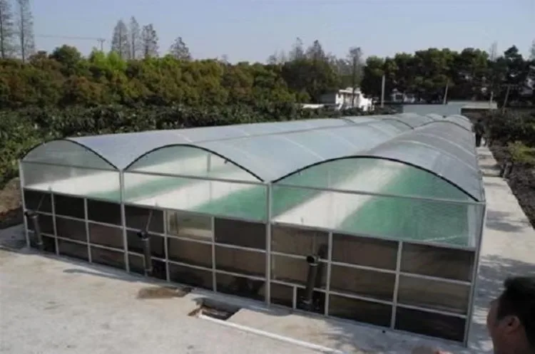 Easy to Use and Cheap Solar Biogas Digester