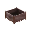 Chocolat