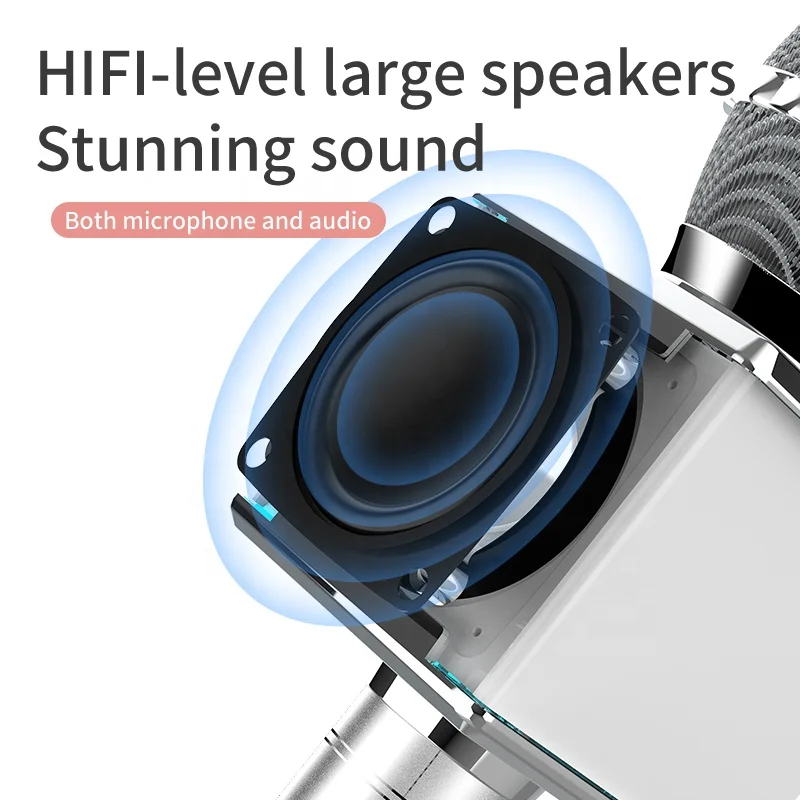 ♪K♪ Dazzling Wireless K Song Set - DS868 Karaoke Mic for Kids