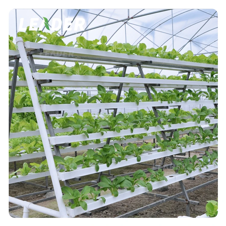 Commercial Agricultural Vertical Grow Tower Hydroponics Nft Gutters