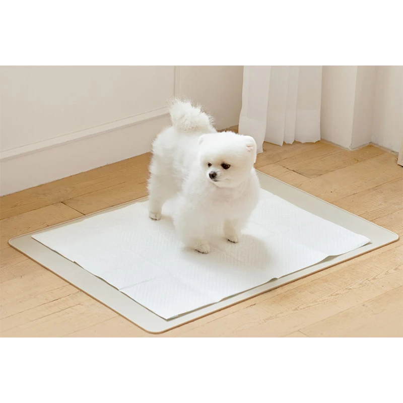 Easy Clear Silicone Dog Cat Mat Indoor Pet Toilet Mat With Puppy
