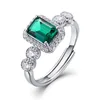 RG023397-plata
