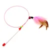 Wire feather cat toy
