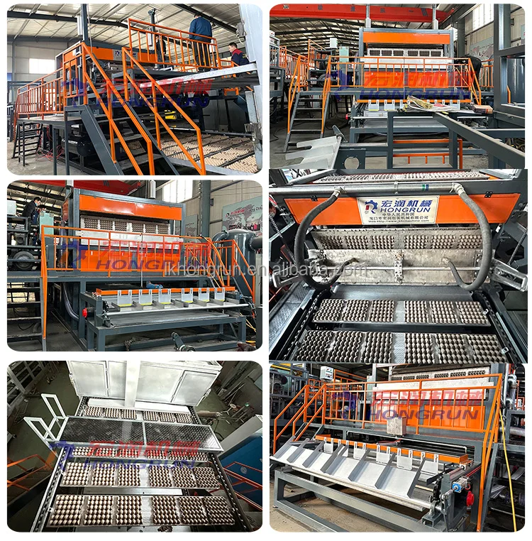 Automatic Paper Pulp Molding Machine Customize Logo Egg Carton Tray ...