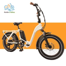 RaiderExpand-41FS OEM 20 inch 48v 500W fat tire foldable bicicleta electrica  ebike / folding electric bicycle