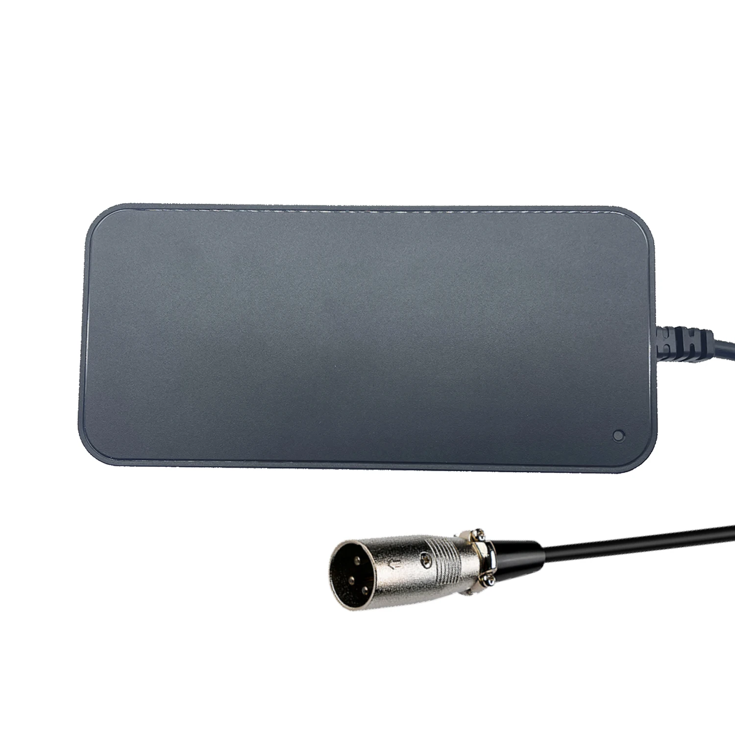 Customizable Logo E-Bike Charger for 24V Battery