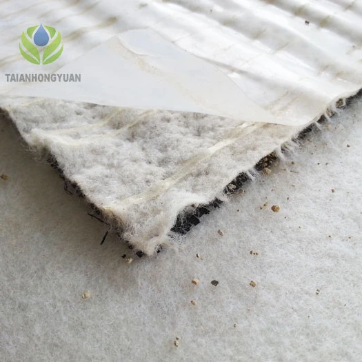 Bentofix Membrane with 0.2MM HDPE Liner Waterproofing Bentonite Blanket Geo Synthetic Clay Liner for Landfill