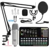 Conjunto de tarjeta de sonido Silver-Silver WXH1000+V10xPro