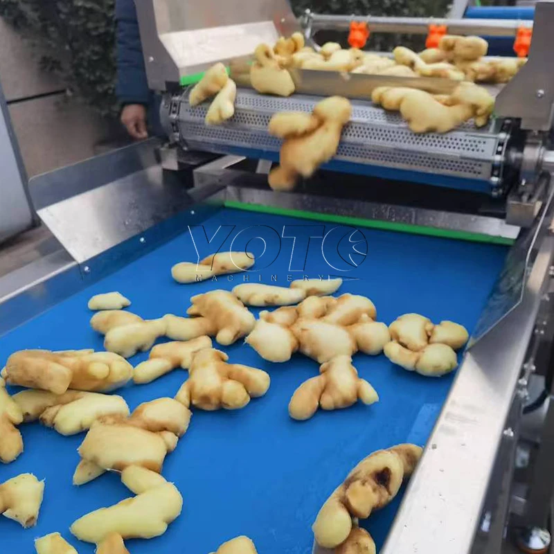 Ginger Powder Machines Complete Garlic Powder Production Line