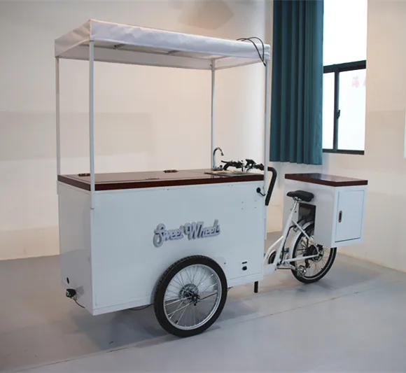 Ice Cream Bike With Coolbox 258l Freezer For Selling Popsicle Ice Cream 