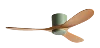 Green Original Wood Grain