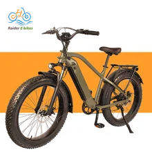 Raiderrunner-34f 26"750w Utility Ebike Step-thro Bicycle Electric Fat Tire Bike Electric Hybrid Bike Electric Mountain Bike Logo