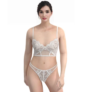 Women's Custom Sexy XXL Lace Embroidery Seamless Bra and Panties Hot Lingerie Set-Wholesale Supply Bra and Briefs