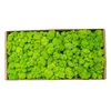 vert clair